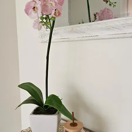 Appartamento Unique & Spacious 2 Bedroom With Sauna *